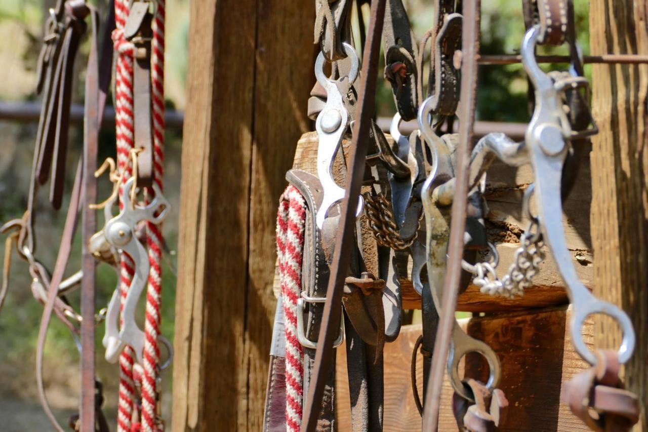 Bill Cody Ranch Hotel Buitenkant foto